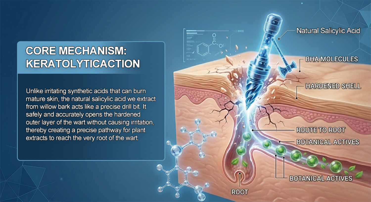 Salicylic acid mechanism illustration